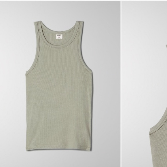 Aritzia Tops - Sunday best Honor long tank